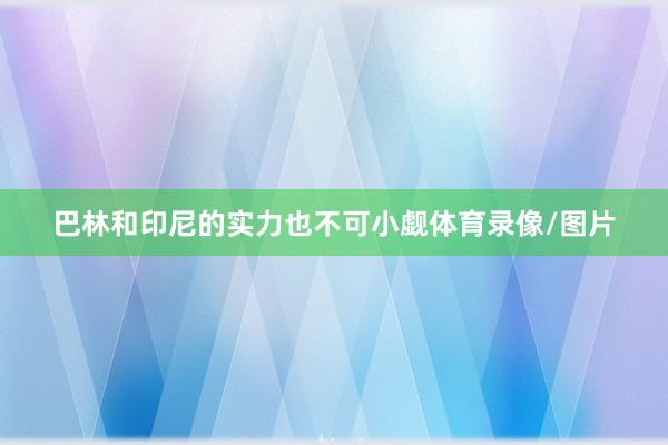 巴林和印尼的实力也不可小觑体育录像/图片