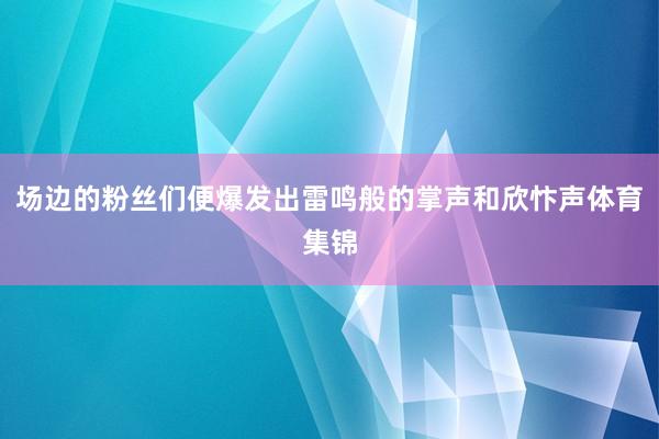 场边的粉丝们便爆发出雷鸣般的掌声和欣忭声体育集锦