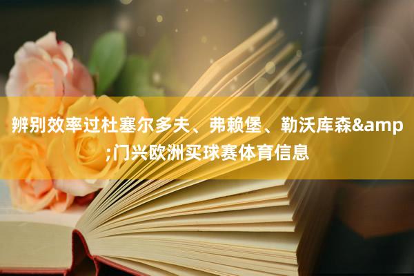 辨别效率过杜塞尔多夫、弗赖堡、勒沃库森&门兴欧洲买球赛体育信息