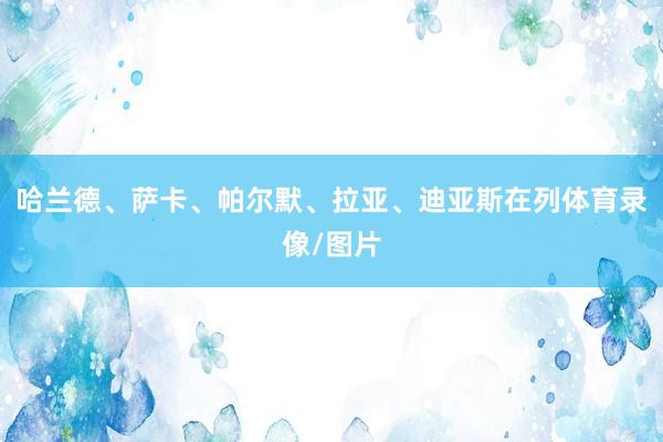 哈兰德、萨卡、帕尔默、拉亚、迪亚斯在列体育录像/图片