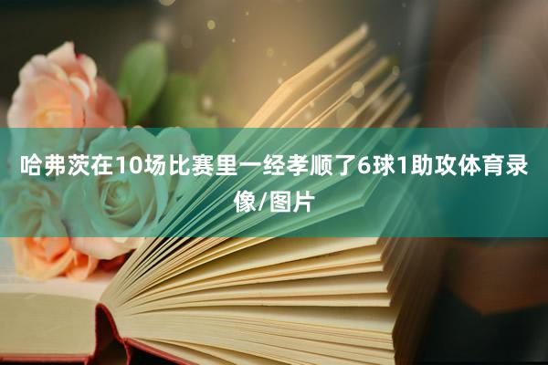 哈弗茨在10场比赛里一经孝顺了6球1助攻体育录像/图片