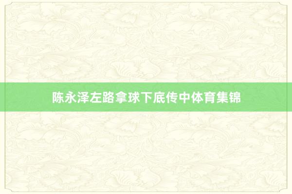 陈永泽左路拿球下底传中体育集锦