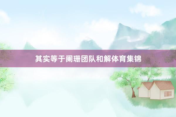其实等于阑珊团队和解体育集锦